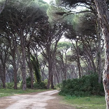 Rena's House בית הארחה קלוגריה