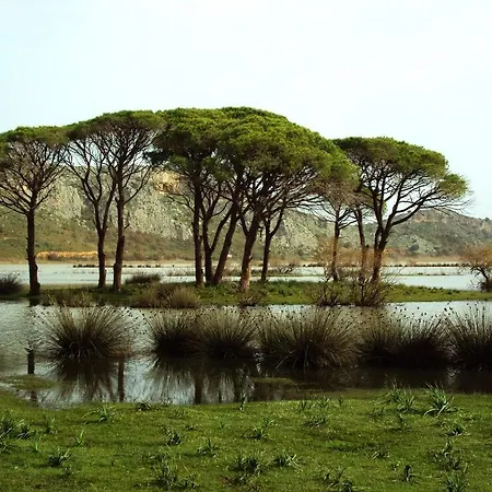 בית הארחה Rena's House