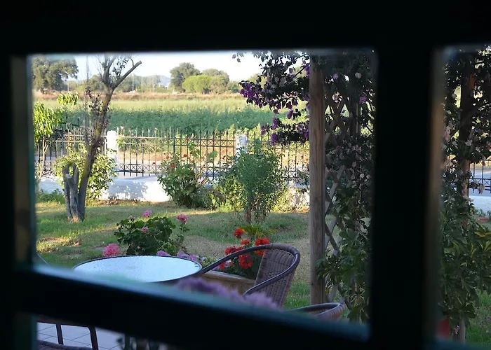 Rena's House
