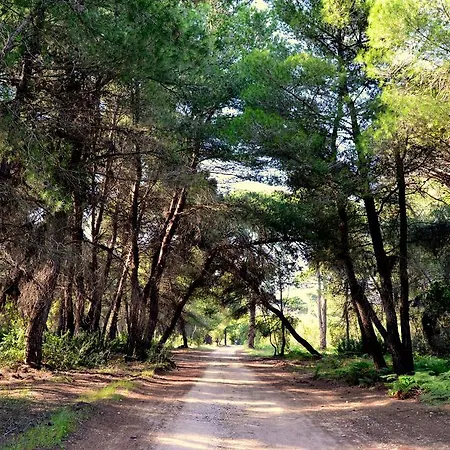 Rena's House Maison d'hôtes 3*