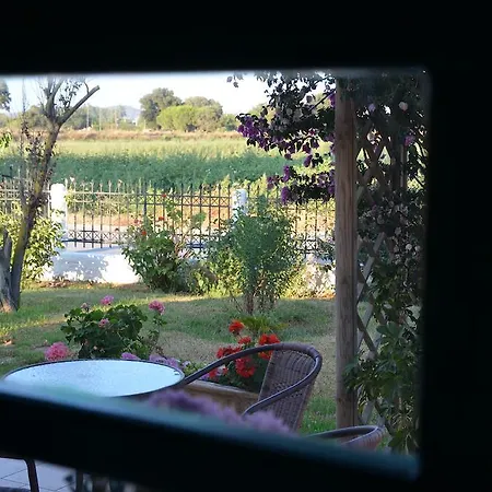 Rena's House