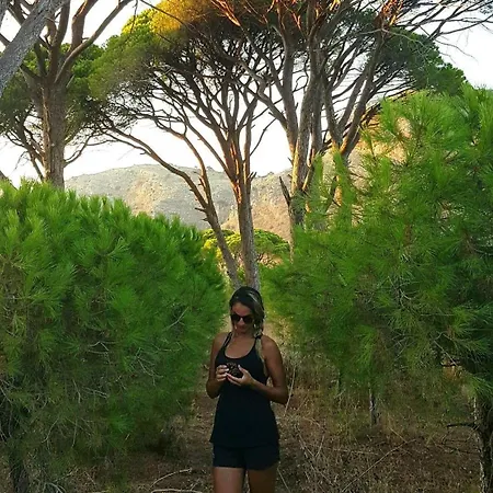 Maison d'hôtes Rena's House Kalogria (Achaea)