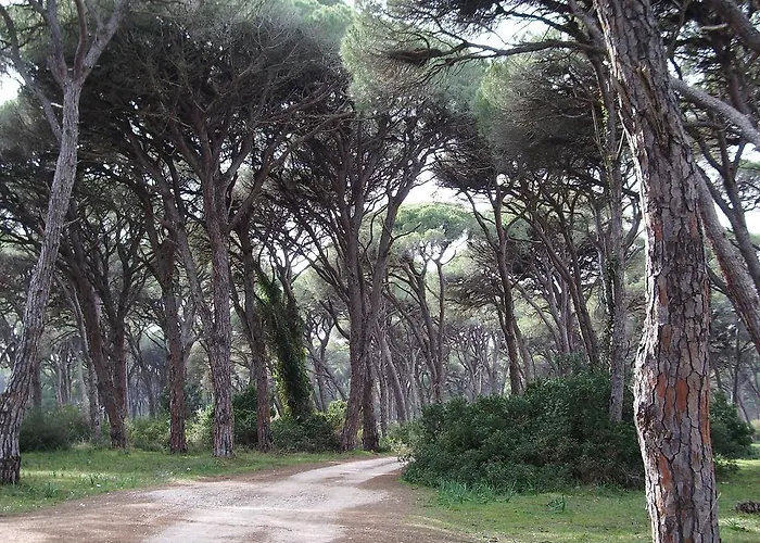 Rena's House Gæstehus Kalogria (Achaea)