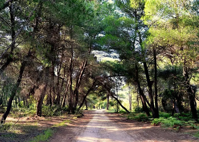 Rena's House Gæstehus 3*